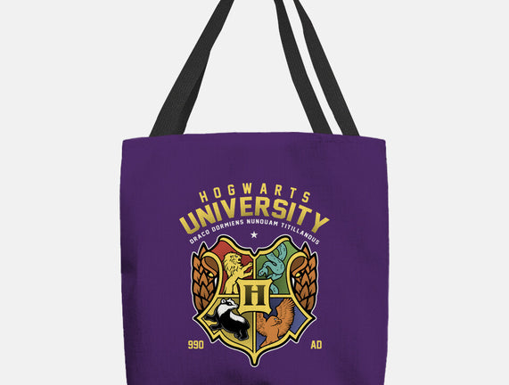 Hogwarts University