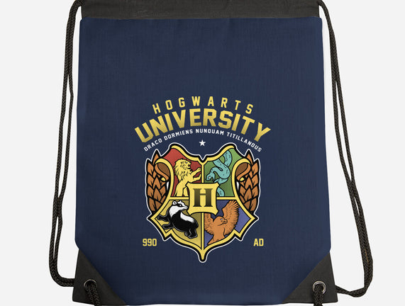 Hogwarts University