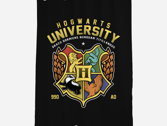 Hogwarts University