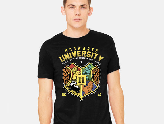 Hogwarts University