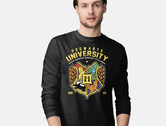 Hogwarts University