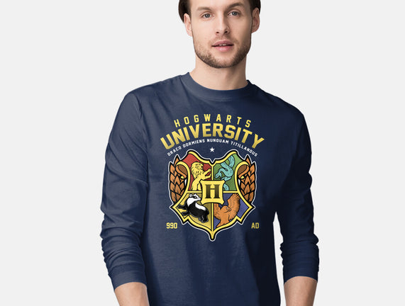 Hogwarts University