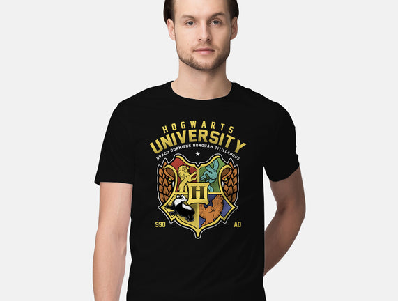 Hogwarts University