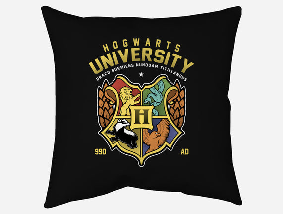 Hogwarts University