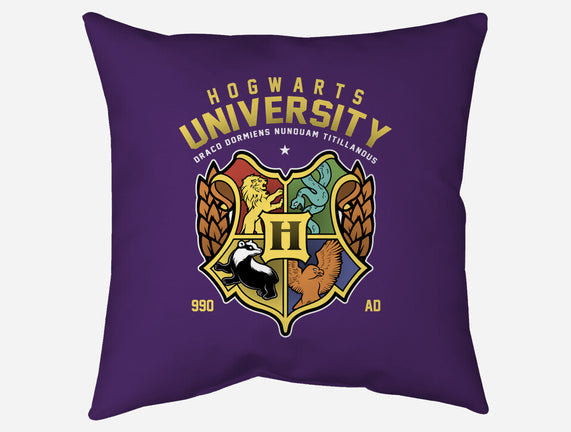 Hogwarts University
