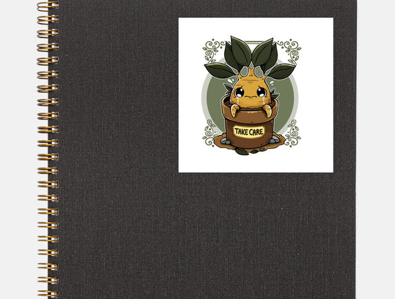 Mandrake