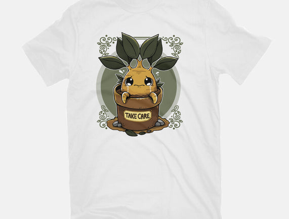 Mandrake