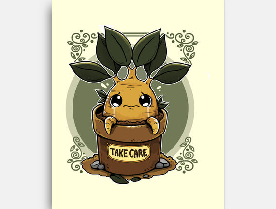 Mandrake