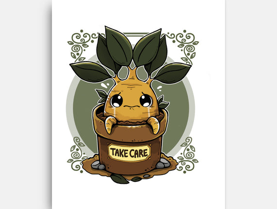 Mandrake