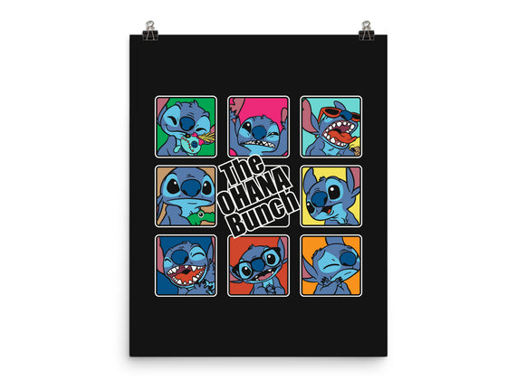 The Ohana Bunch