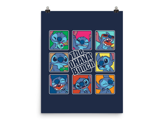 The Ohana Bunch