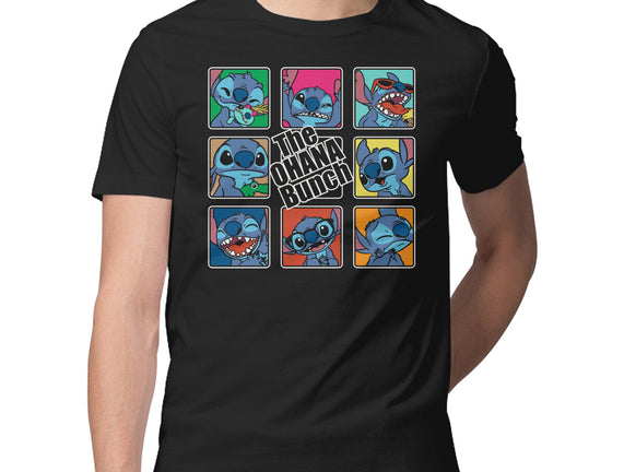 The Ohana Bunch