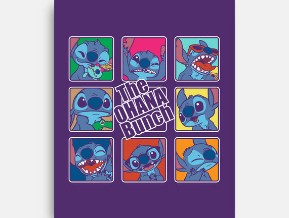 The Ohana Bunch