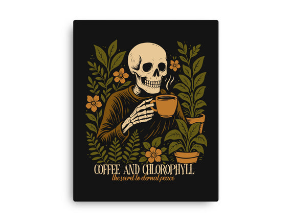 Coffee And Chlorophyll