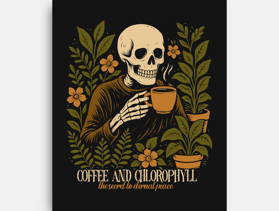 Coffee And Chlorophyll