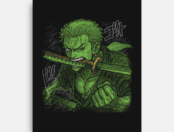 Pirate Hunter Swordsman