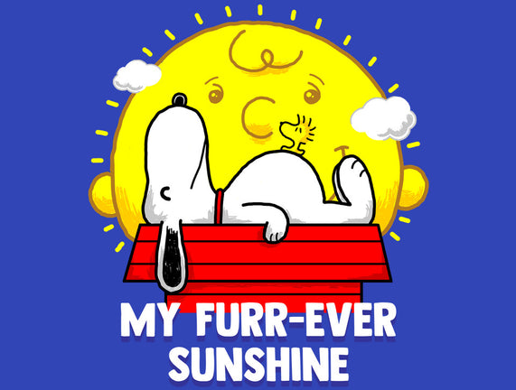 Furr Ever Sunshine