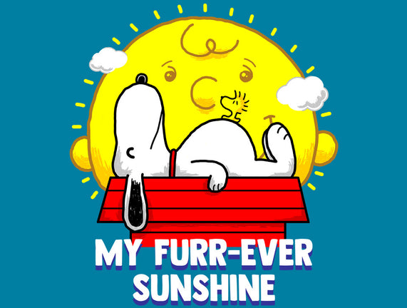 Furr Ever Sunshine