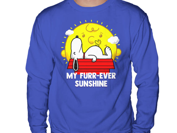 Furr Ever Sunshine