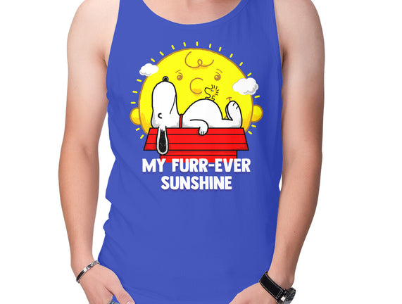 Furr Ever Sunshine