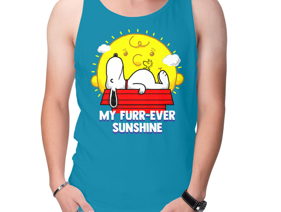Furr Ever Sunshine