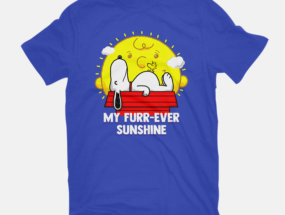 Furr Ever Sunshine