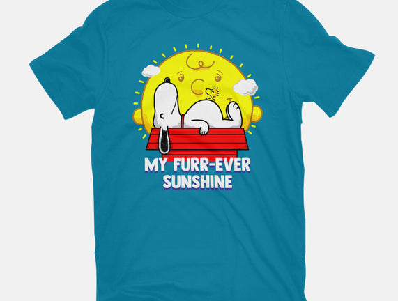 Furr Ever Sunshine