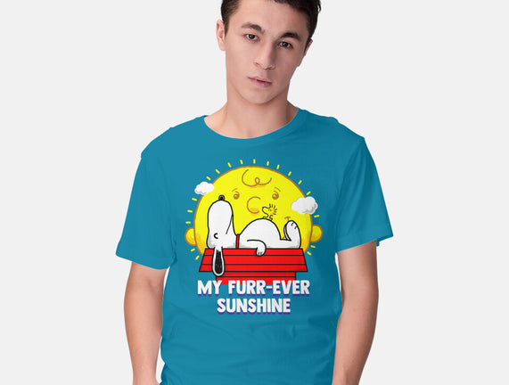 Furr Ever Sunshine