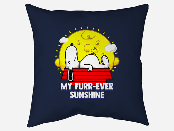 Furr Ever Sunshine