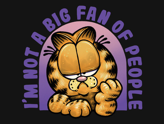 Not A Big Fan Of People