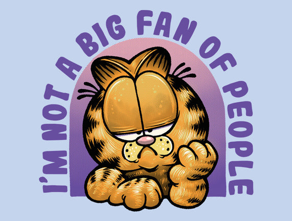 Not A Big Fan Of People