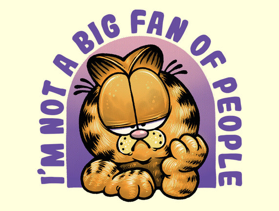 Not A Big Fan Of People