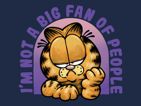 Not A Big Fan Of People