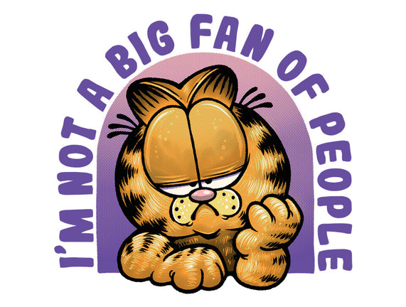 Not A Big Fan Of People