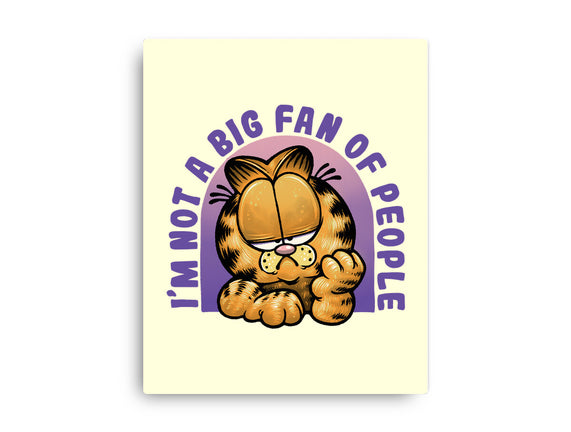 Not A Big Fan Of People