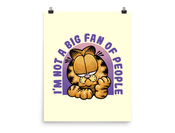 Not A Big Fan Of People