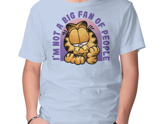 Not A Big Fan Of People