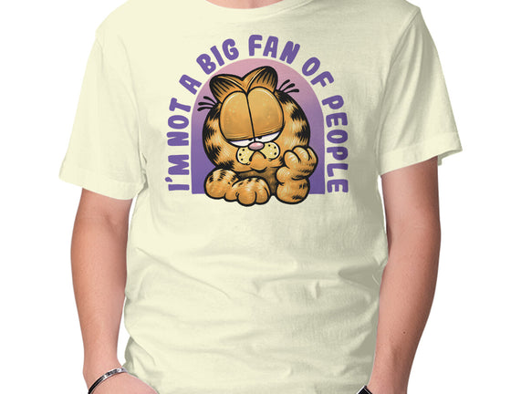 Not A Big Fan Of People