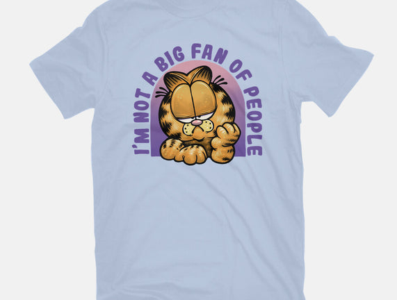 Not A Big Fan Of People