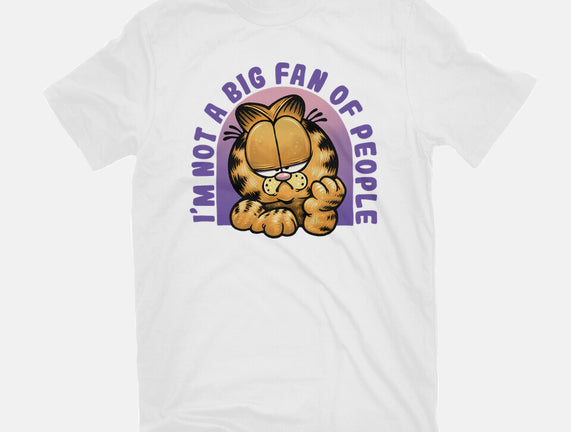 Not A Big Fan Of People