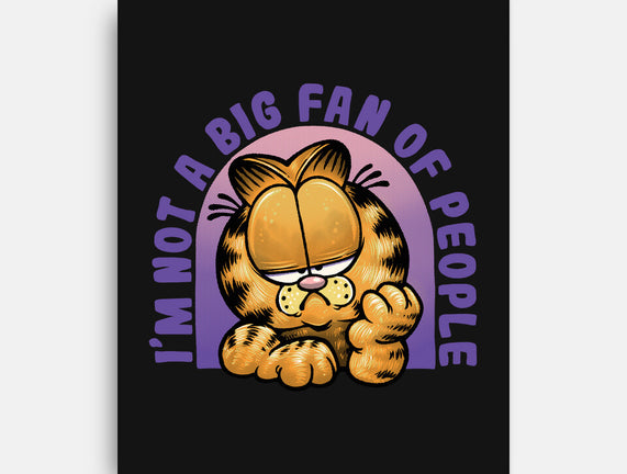 Not A Big Fan Of People