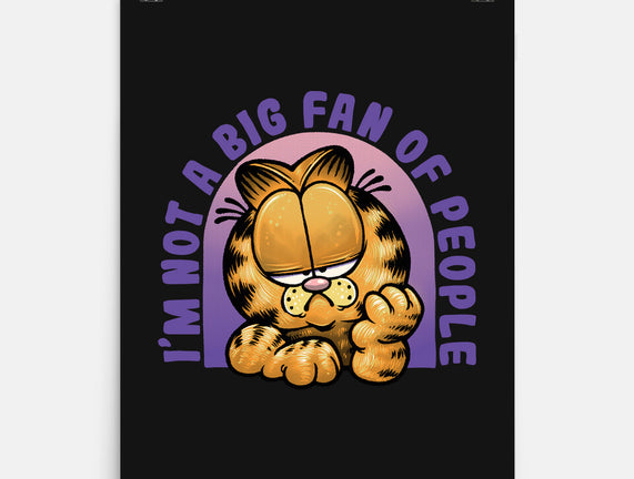 Not A Big Fan Of People