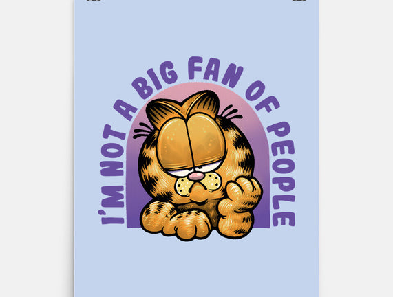 Not A Big Fan Of People