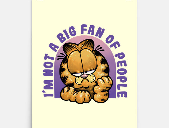 Not A Big Fan Of People