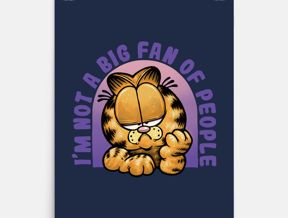 Not A Big Fan Of People