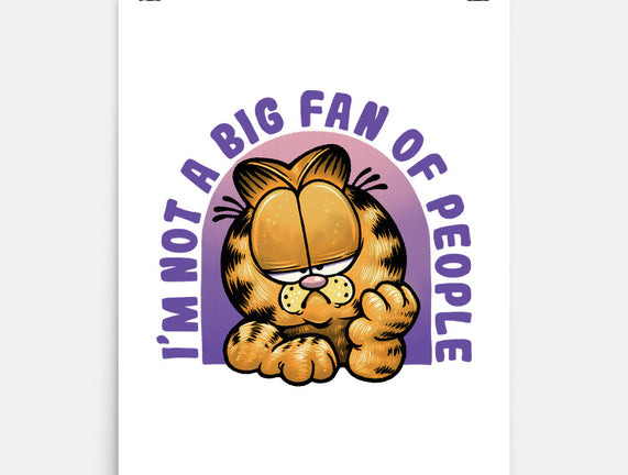 Not A Big Fan Of People