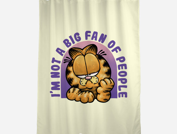 Not A Big Fan Of People