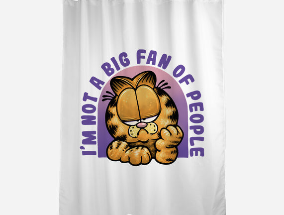 Not A Big Fan Of People