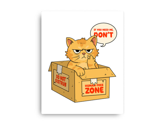 If You Need Me Don't
