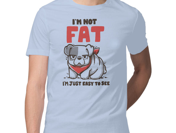 I'm Just Easy To See